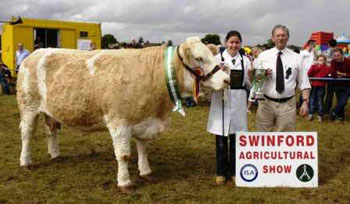 Swinford Agricultural Show Cattle section