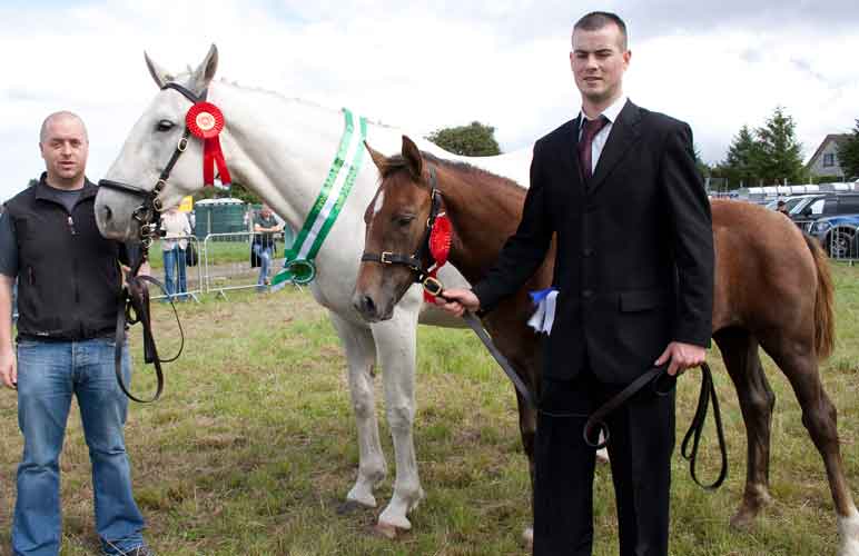 Equine - Swinford Agricultural Show Horse Show