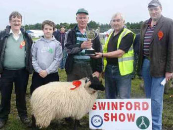Sheep section Swinford agricultural show