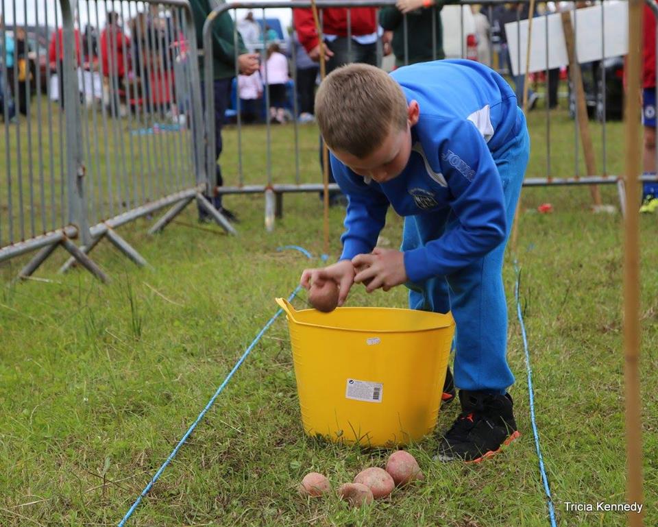 Attractions Swinford Agricultural Show