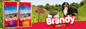 Brandy dog food sponsor