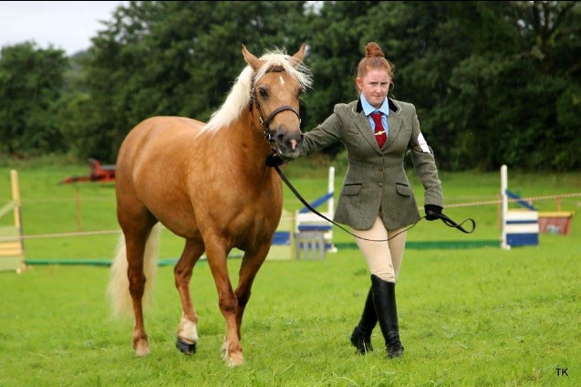 swinford-agricultural-show-equine-2016