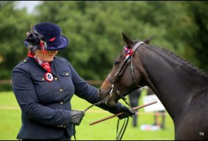 swinford-agricultural-show-equine-2016
