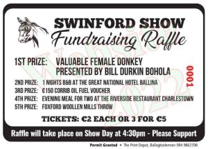 2022 Swinford agricultural show raffle ticket