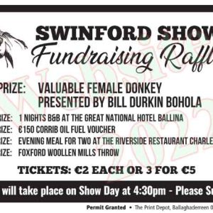 2022 Swinford agricultural show raffle ticket